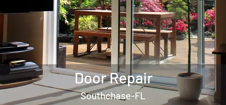  Door Repair Southchase-FL