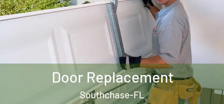  Door Replacement Southchase-FL