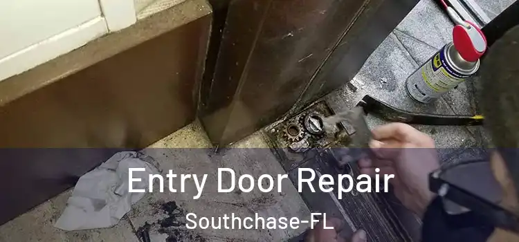  Entry Door Repair Southchase-FL
