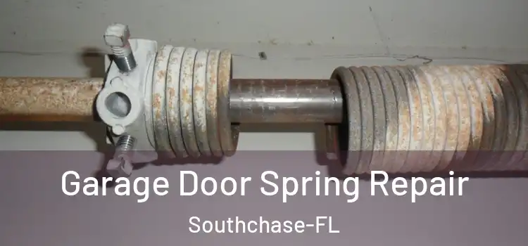  Garage Door Spring Repair Southchase-FL