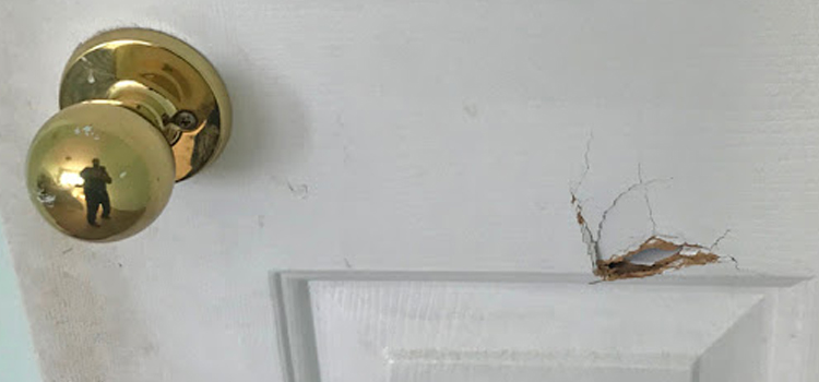 interior door hole repair Southchase