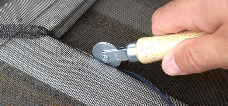 metal screen door repair in Southchase