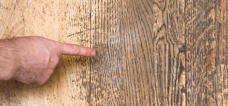 Wood Door Scratch Repair in Southchase