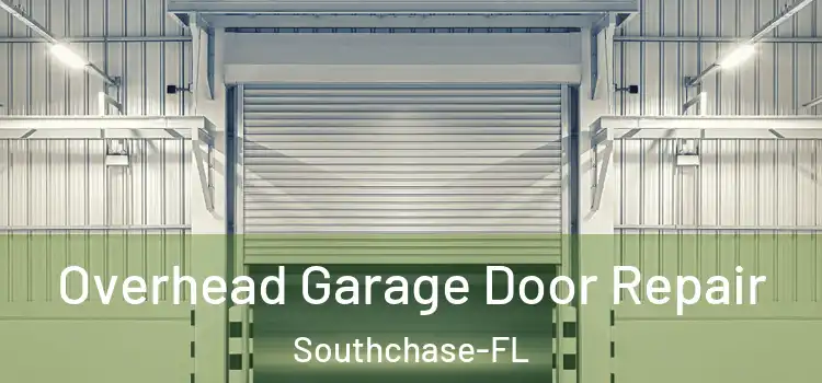  Overhead Garage Door Repair Southchase-FL