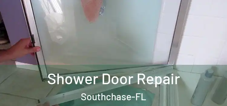  Shower Door Repair Southchase-FL